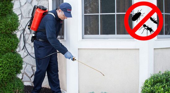 Ulubey Akrep İlaçlama böcek ilaçlama ve haşere kontrolü — ilaclama-tr.com